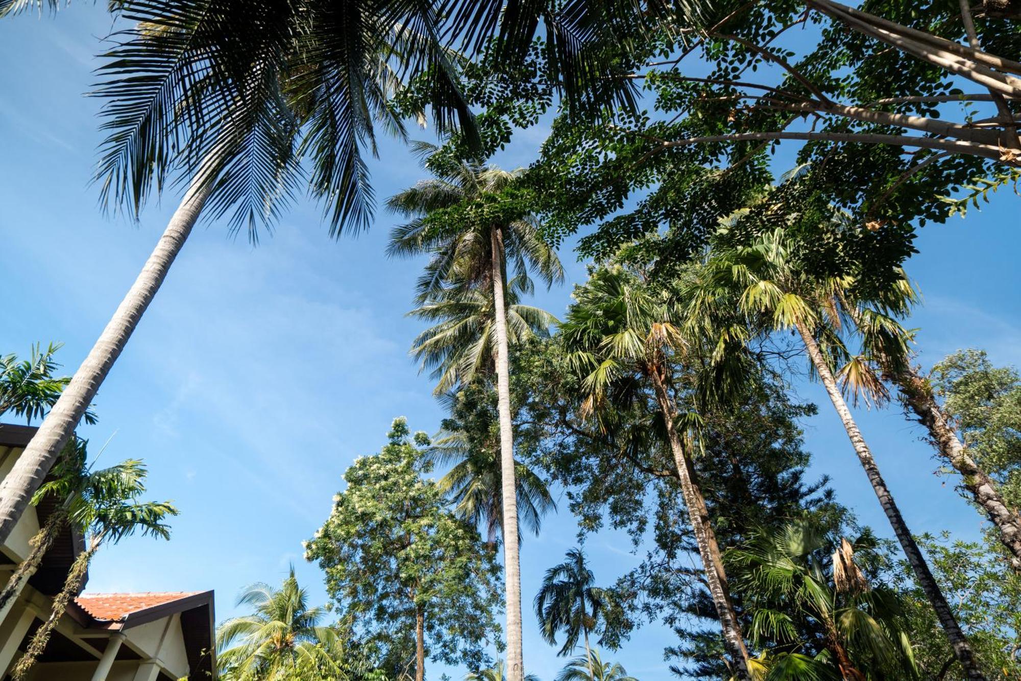Phuket Leelavadee Hua Ting Resort Patong Bagian luar foto